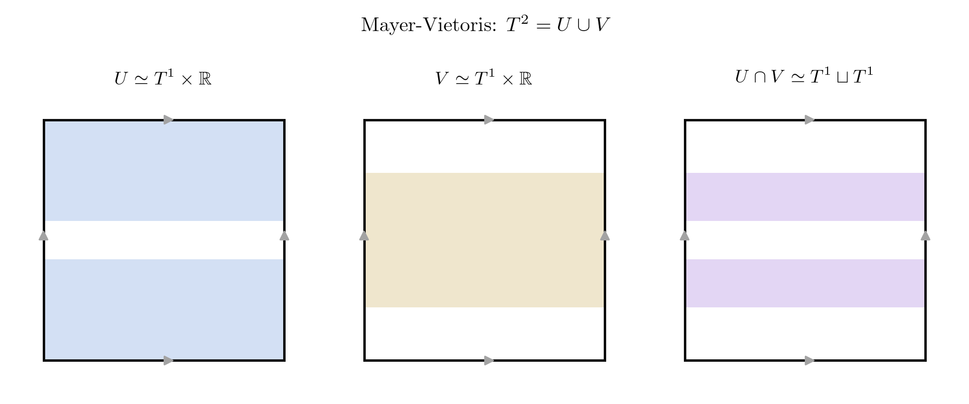 Mayer-Vietoris decomposition of T^2 = S^1 x S^1 into two open annular strips